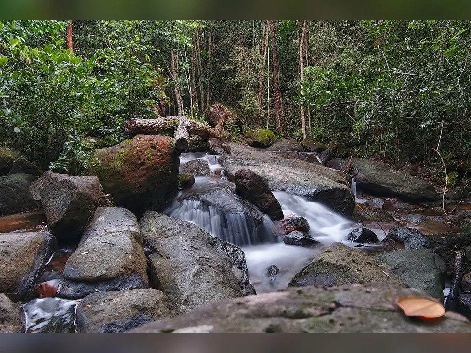 Suối Tranh, ảnh 3