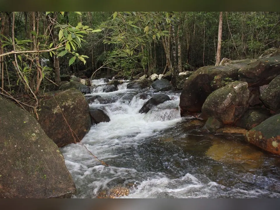 Suối Tranh, ảnh 4